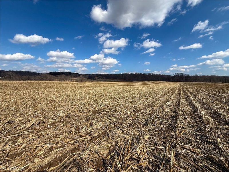 St Rt 603, Lucas, OH 44843 Photo 12