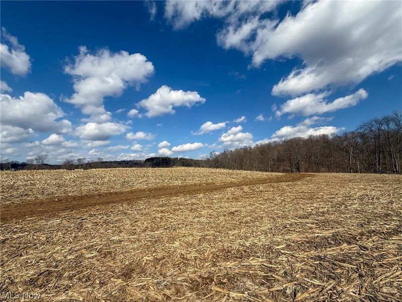 St Rt 603, Lucas, OH 44843 Photo 14