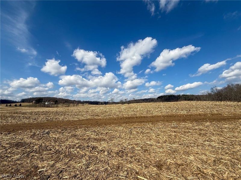 St Rt 603, Lucas, OH 44843 Photo 15