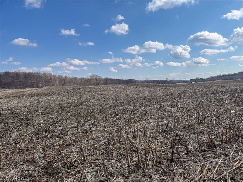 St Rt 603, Lucas, OH 44843 Photo 5