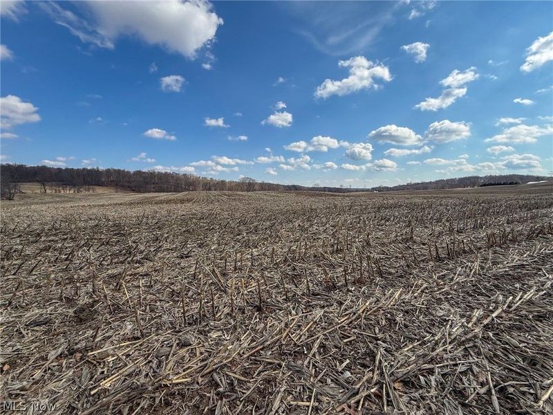 St Rt 603, Lucas, OH 44843 Photo 6