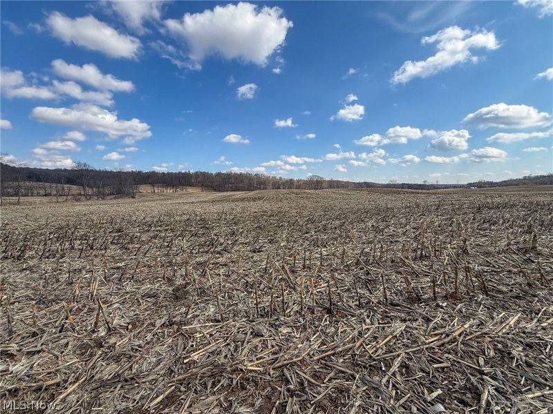 St Rt 603, Lucas, OH 44843 Photo 7