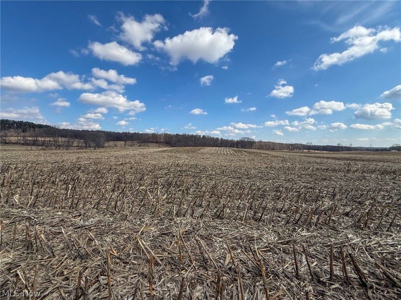 St Rt 603, Lucas, OH 44843 Photo 8