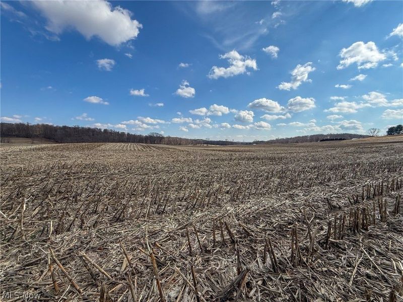 St Rt 603, Lucas, OH 44843 Photo 9