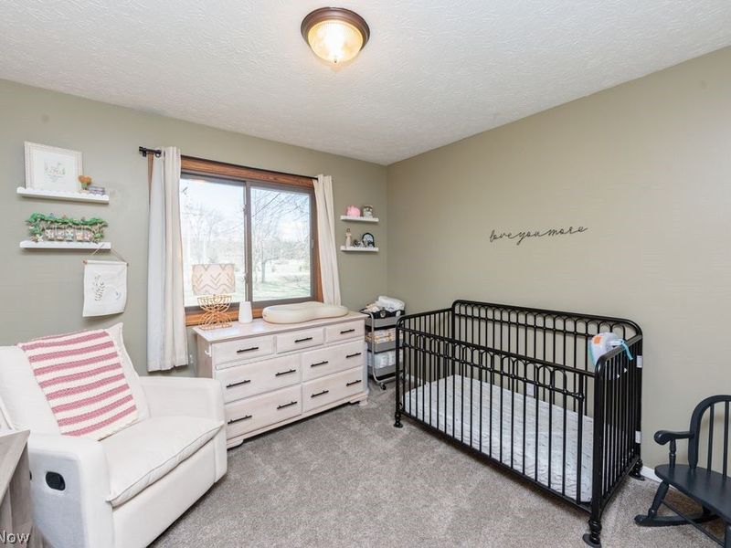 9900 Chatham Road, Spencer, OH 44275 Photo 15