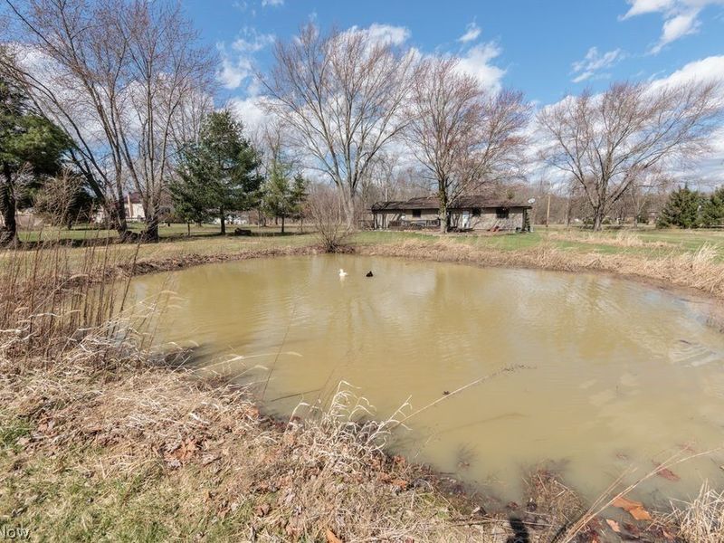 9900 Chatham Road, Spencer, OH 44275 Photo 26