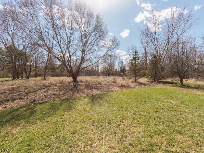 9900 Chatham Road, Spencer, OH 44275 Photo 27