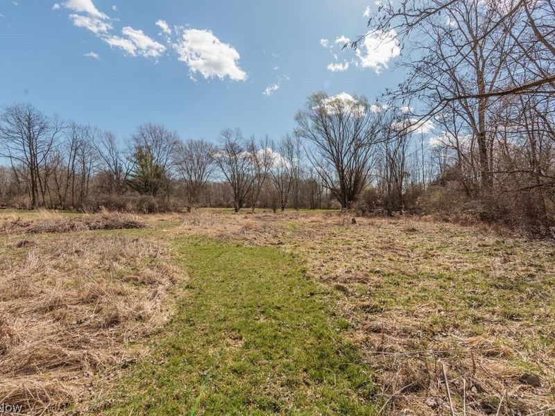 9900 Chatham Road, Spencer, OH 44275 Photo 28