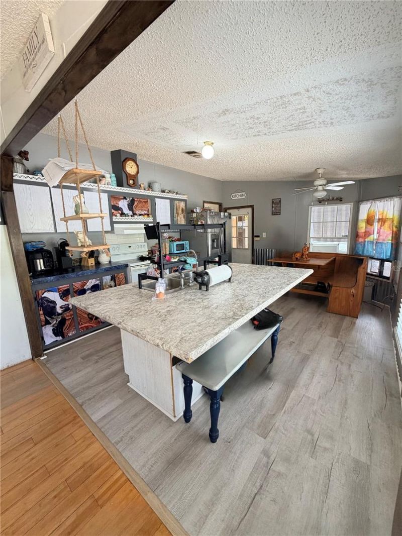 1403 Saint Nicholas Avenue, Christmas, FL 32709 Photo