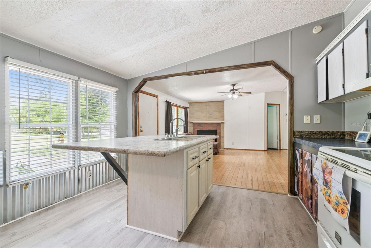 1403 Saint Nicholas Avenue, Christmas, FL 32709 Photo