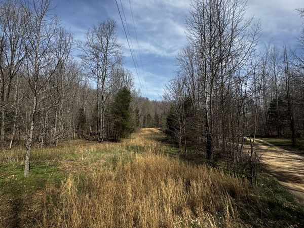 301 Bobcat Rd, Linden, TN 37096