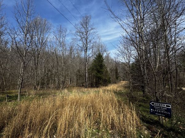 301 Bobcat Rd , Linden, TN 37096