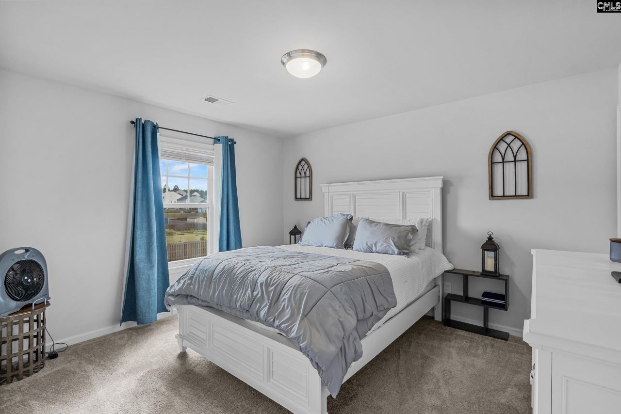 146 Belfast Way Photo 27