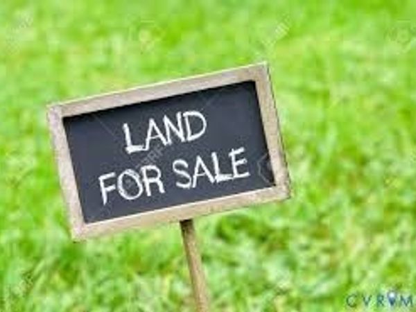 00 Pine Ridge Road , Jetersville, VA 23083