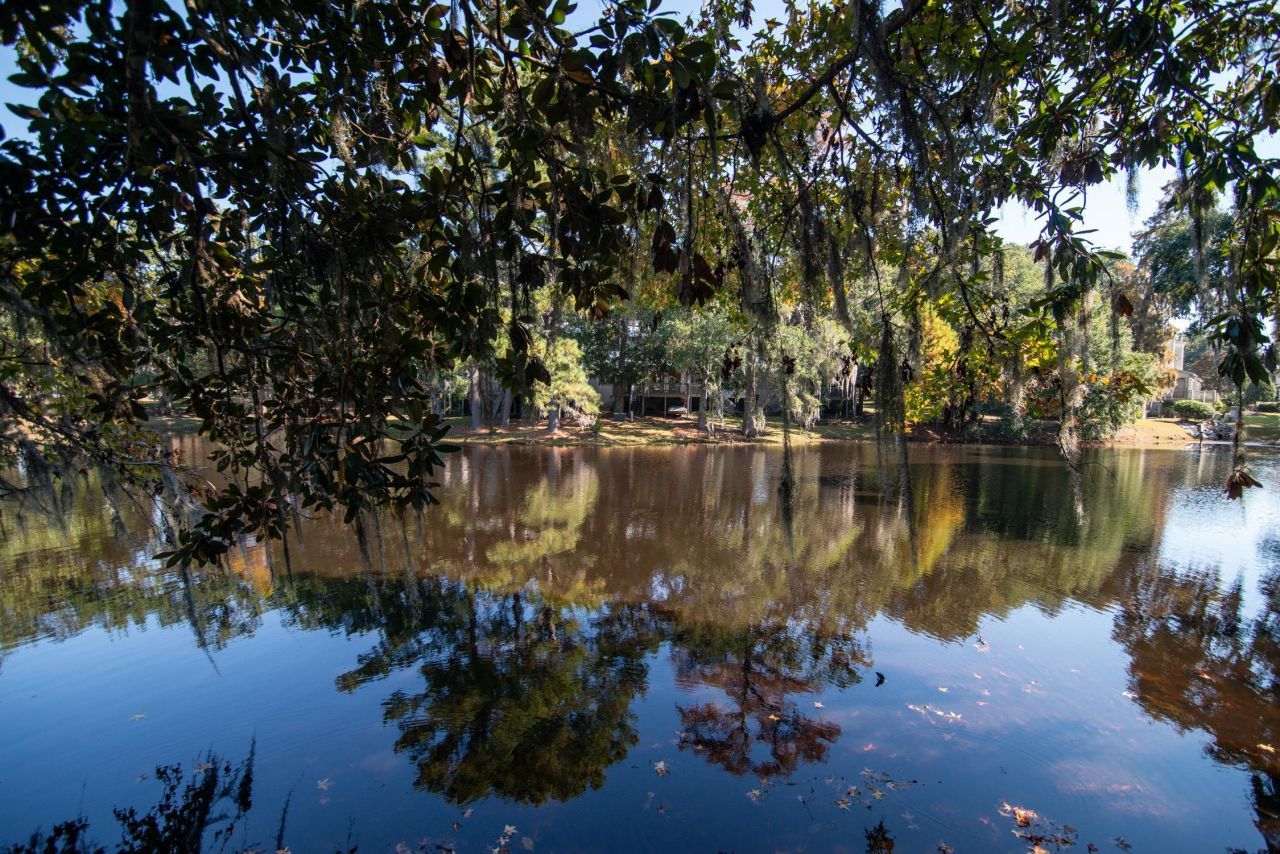 117 Finch Dr.  Photo 48