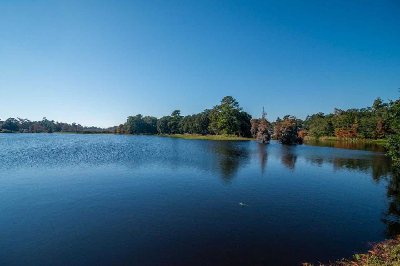 117 Finch Dr.  Photo 60