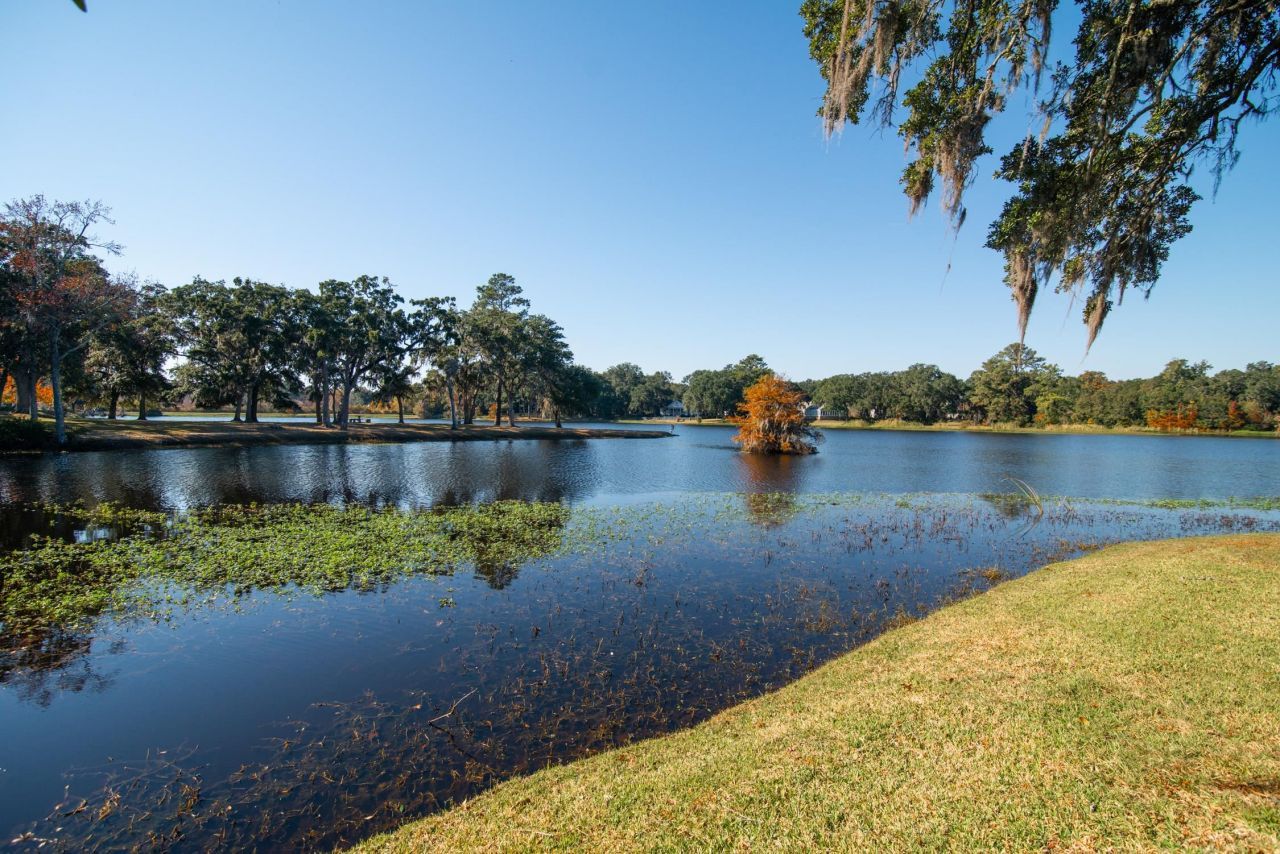 117 Finch Dr.  Photo 78