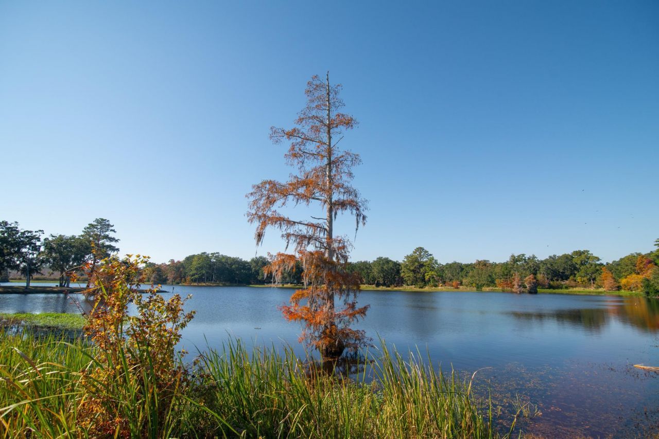 117 Finch Dr.  Photo 79