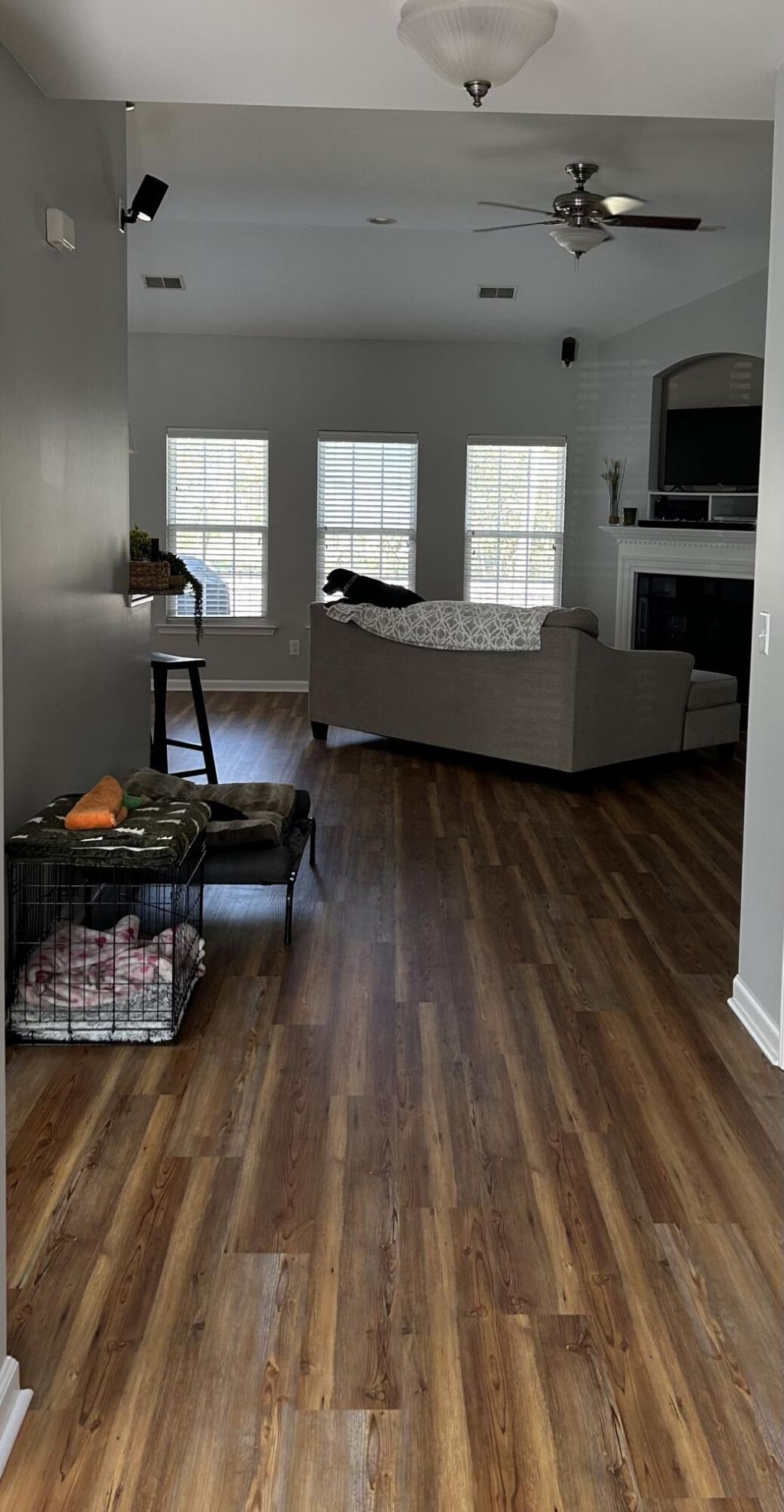 9697 Seminole Way Photo 11