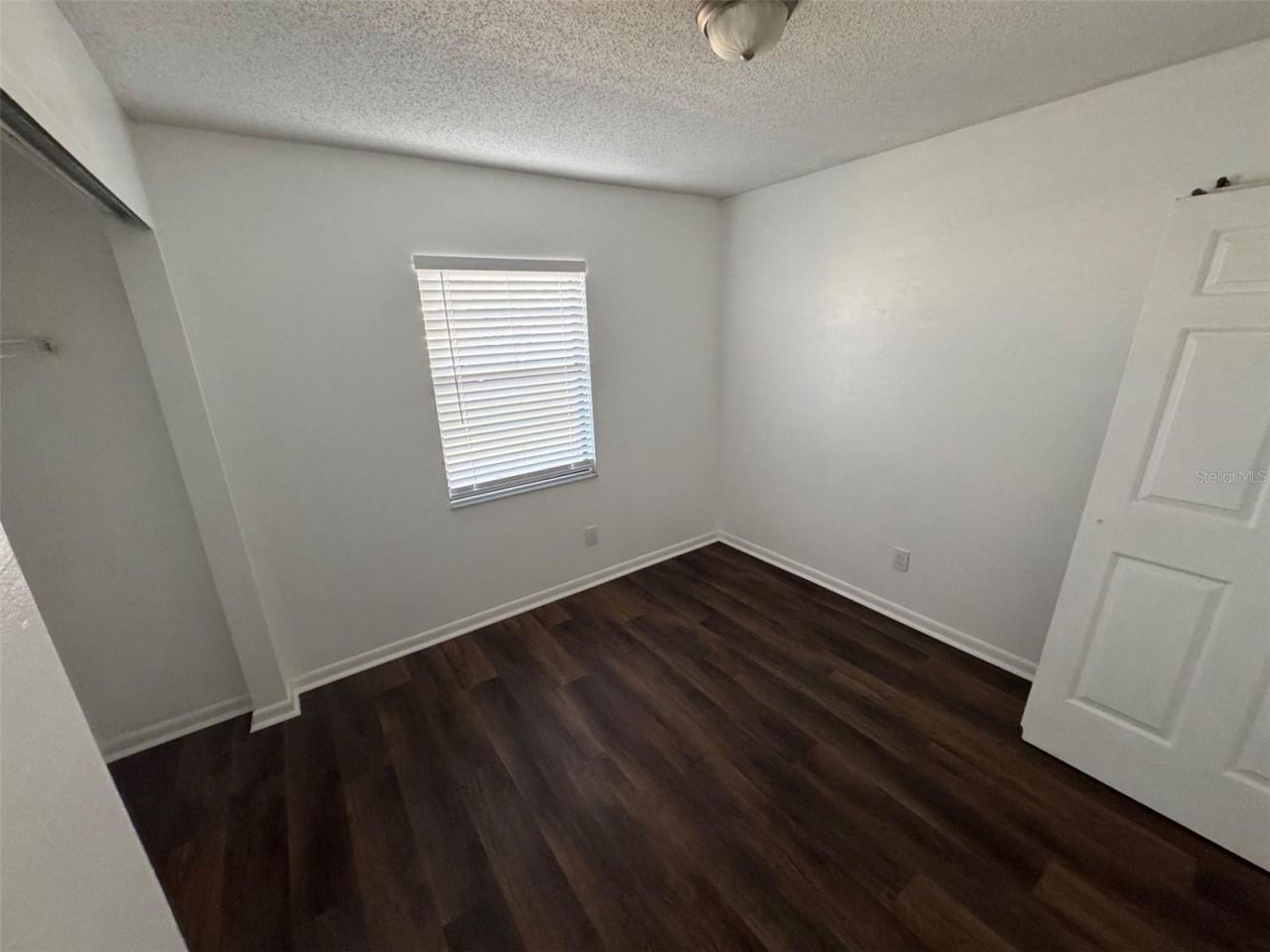 4805 16th Street, Zephyrhills, FL 33542 Photo