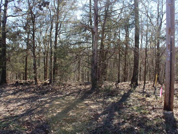 Lot 20 Kelly Court , Cabot, AR 72023