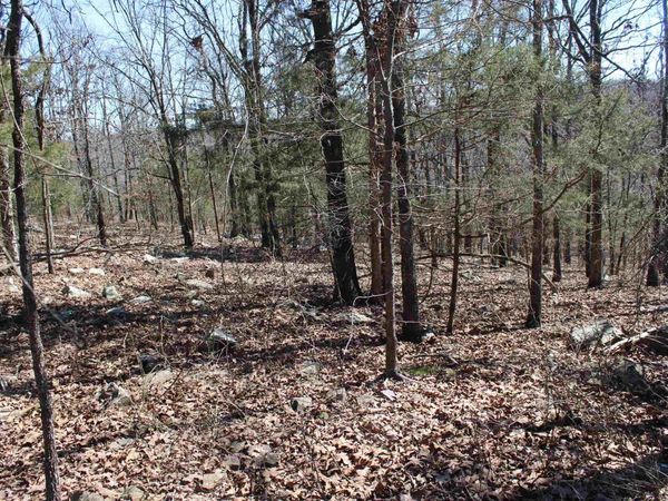 Lot 19 Kelly Court , Cabot, AR 72023