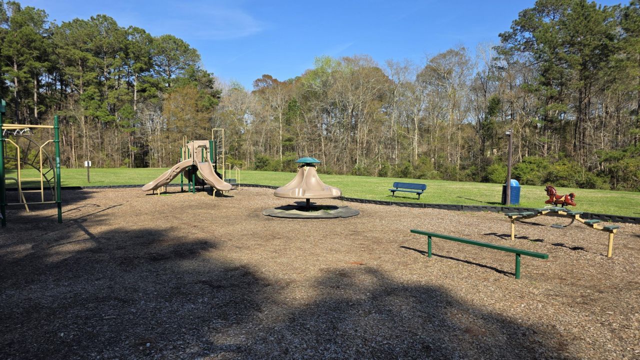 210 Sparkleberry Lane Photo 21