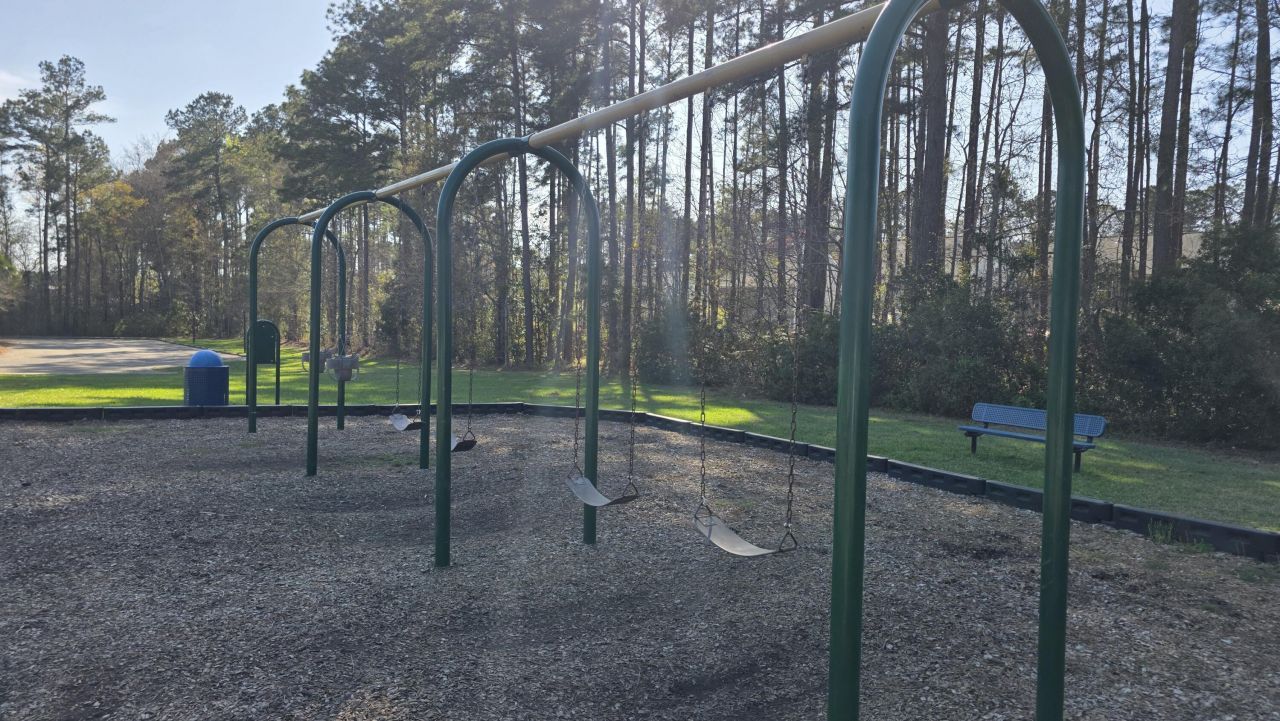 210 Sparkleberry Lane Photo 22