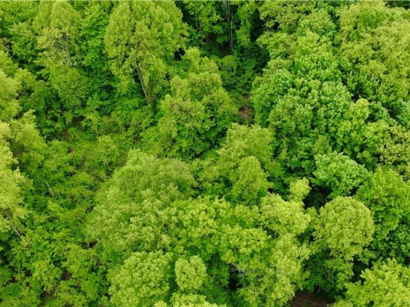 VL Garden Street, Burton, OH 44021 Photo 6