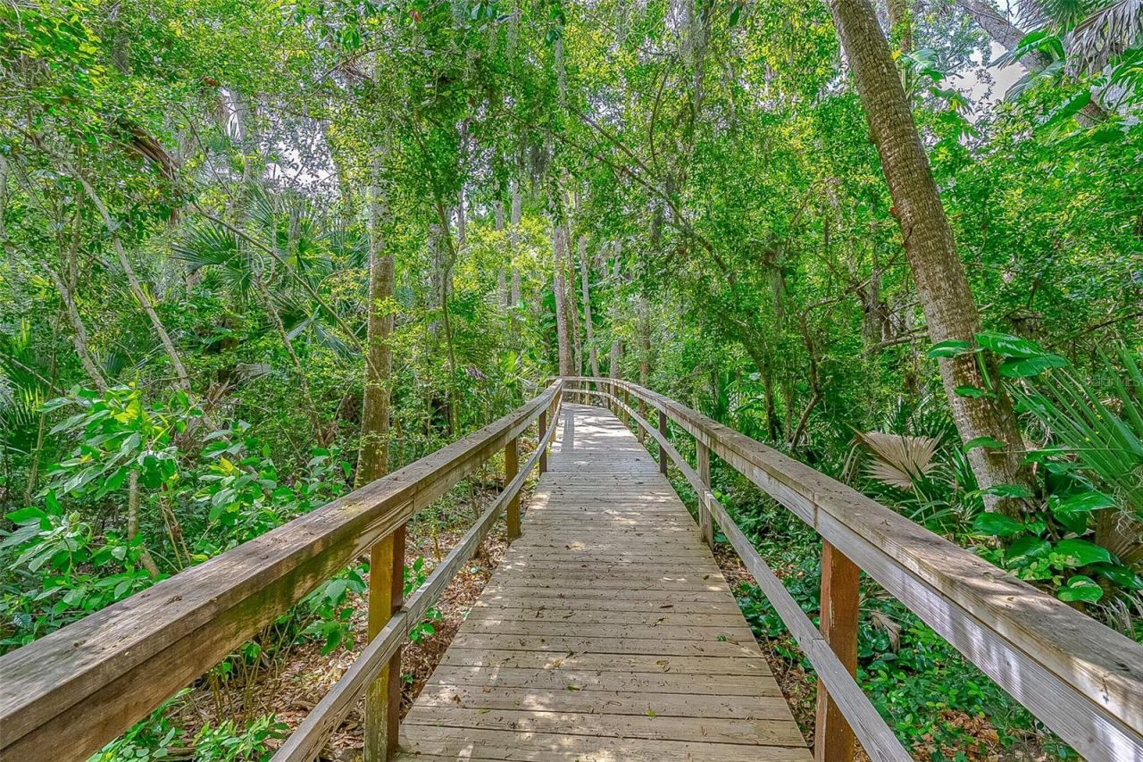 217 Schooner Avenue , Edgewater, FL 32141 Photo