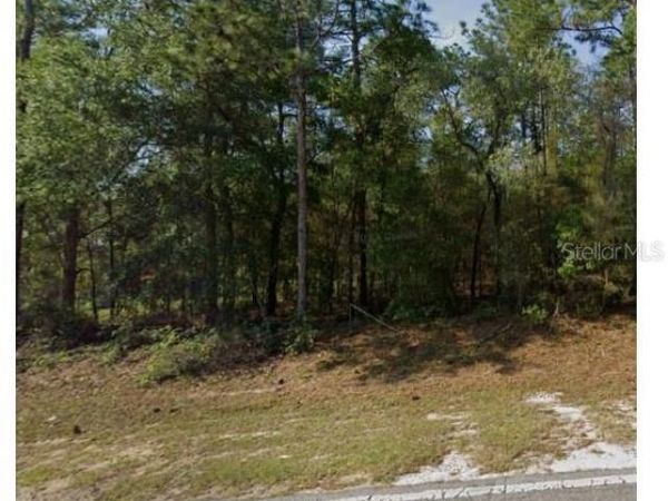 2332 W MUSTANG BOULEVARD , BEVERLY HILLS, FL 34465