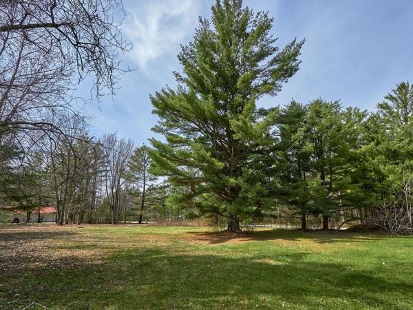 Taxiway Foxtrot, Lake City, MI 49651
