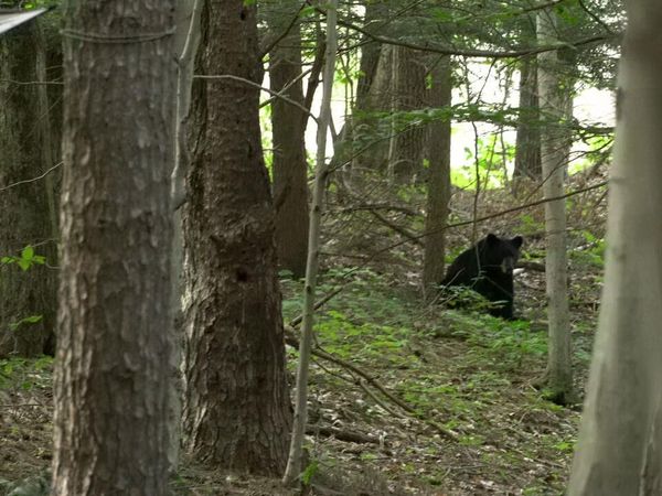 19 Stoutenburgh Drive, Hyde Park, NY 12538