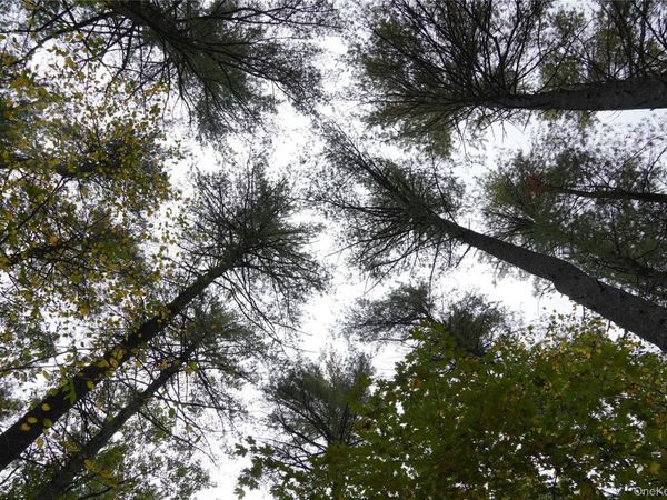 19 Stoutenburgh Drive, Hyde Park, NY 12538