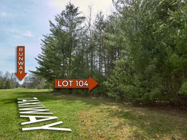 Taxiway Foxtrot, Lake City, MI 49651