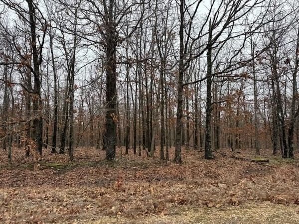 6.47 Acres Hawkweed Trail , Tunas, MO 65764