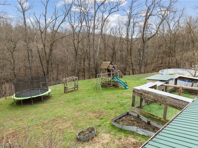 38340 Lees Run Road, Cadiz, OH 43907 Photo 23