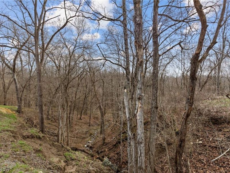 38340 Lees Run Road, Cadiz, OH 43907 Photo 26