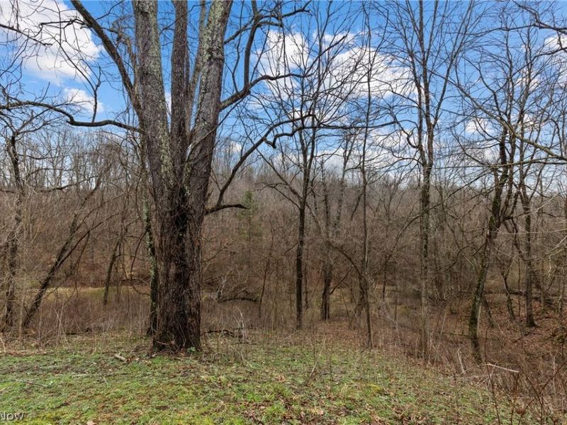 38340 Lees Run Road, Cadiz, OH 43907 Photo 27