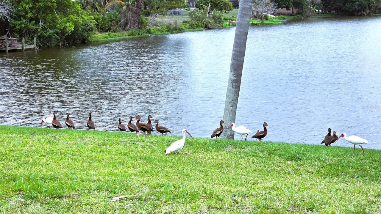 1430 Aken Street, Port Charlotte, FL 33952 Photo