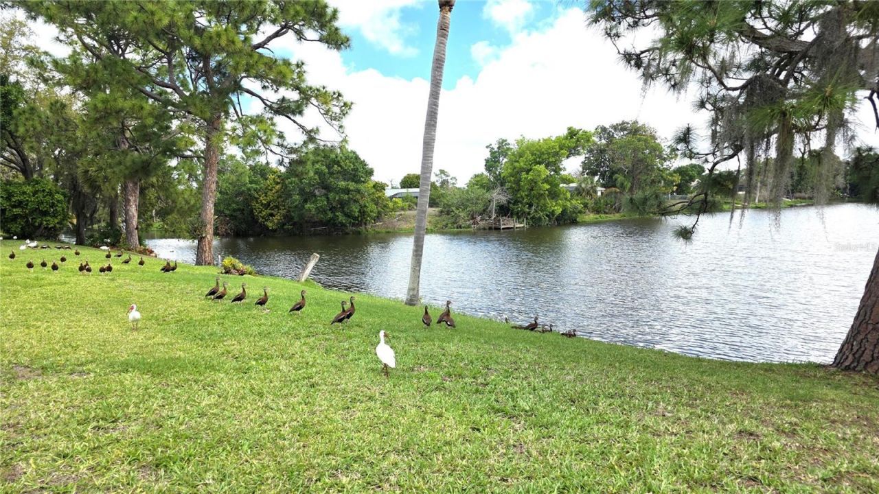 1430 Aken Street, Port Charlotte, FL 33952 Photo