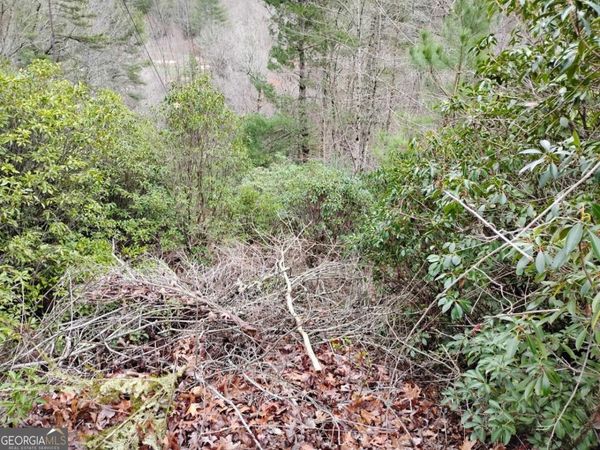 LT 166 Shenendoa Drive, Unit 166, Ellijay, GA 30540