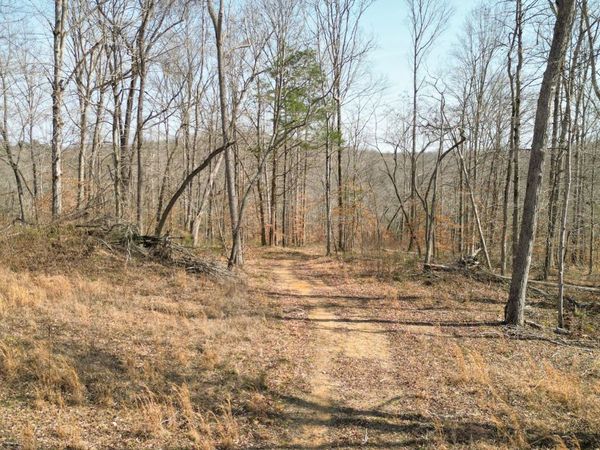 5 Primm Road, Ashland City, TN 37015