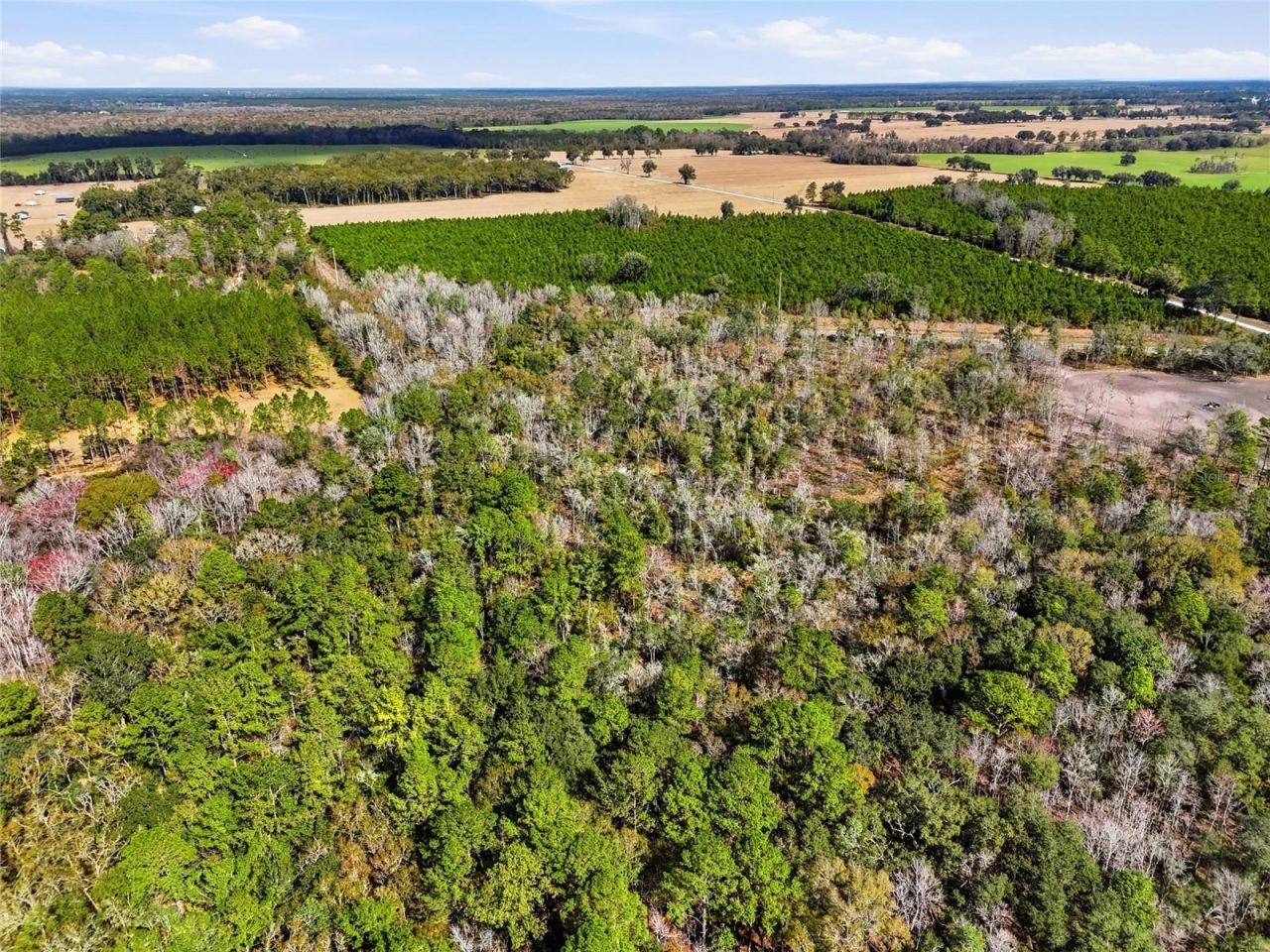 20994 SW County Road 18 , Lot #Lot 4, Brooker, FL 32622 Photo