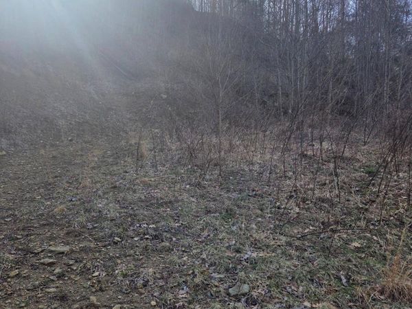 T.B.D Tiger Creek Road, Roan Mountain, TN 37687
