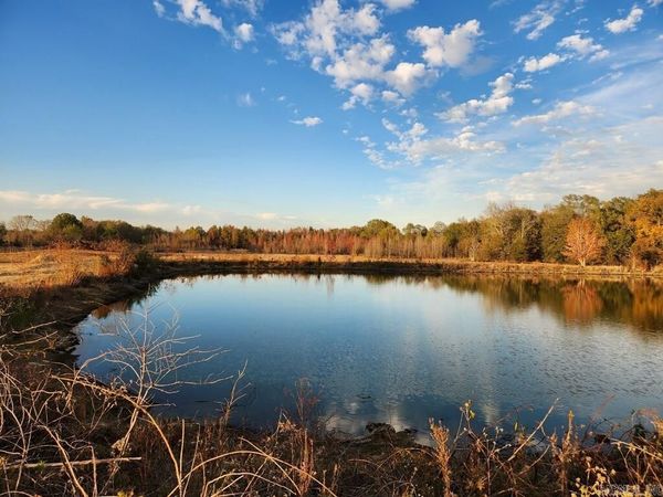 21.69 ACRES LEE COUNTY , Moro, AR 72368