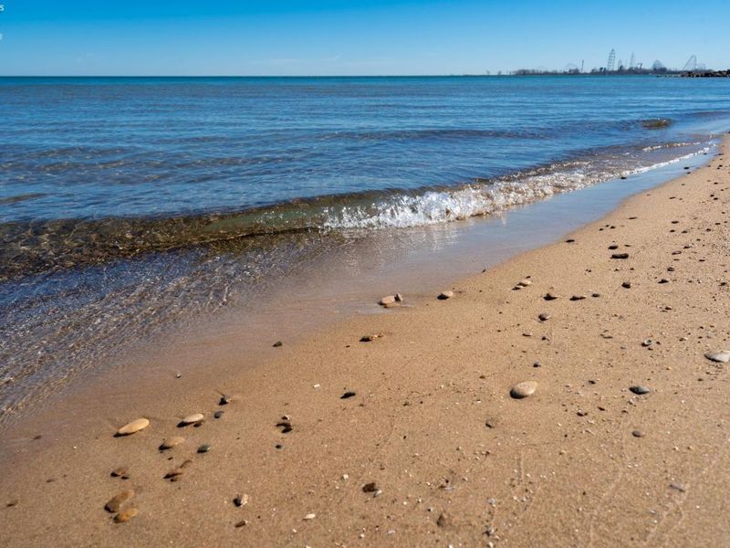 497 Bay Point Boulevard, Marblehead, OH 43440 Photo 77