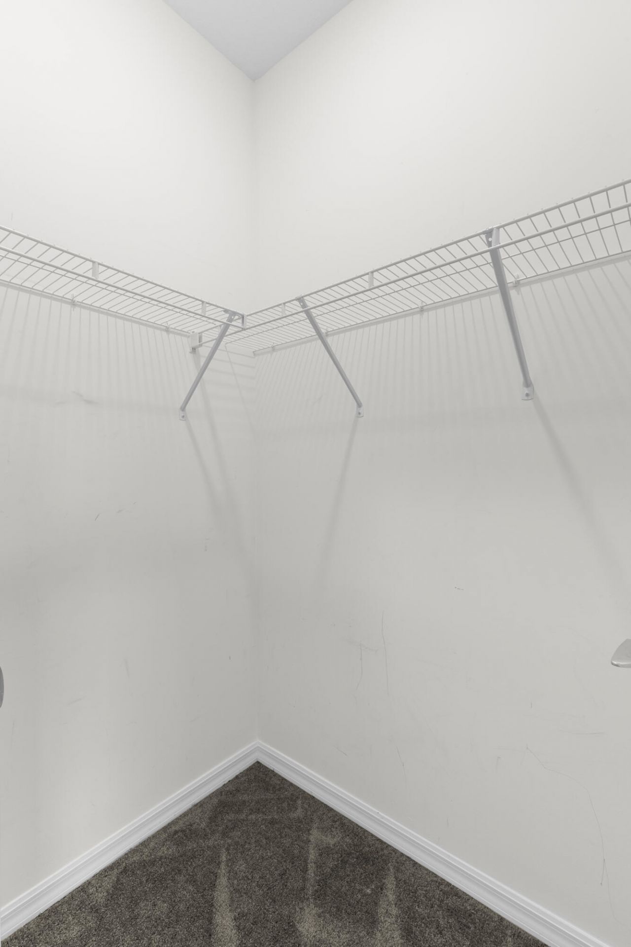 8612 Escue Street, Wellington, FL 33467 Photo