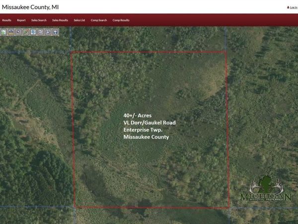 N Dorr Road, Merritt, MI 49667