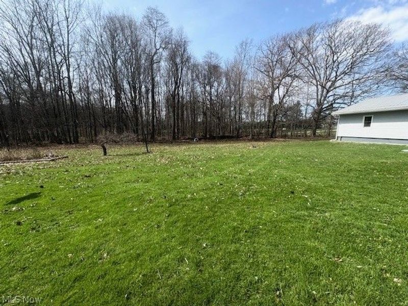 38019 Longs Crossing Road, Leetonia, OH 44431 Photo 33